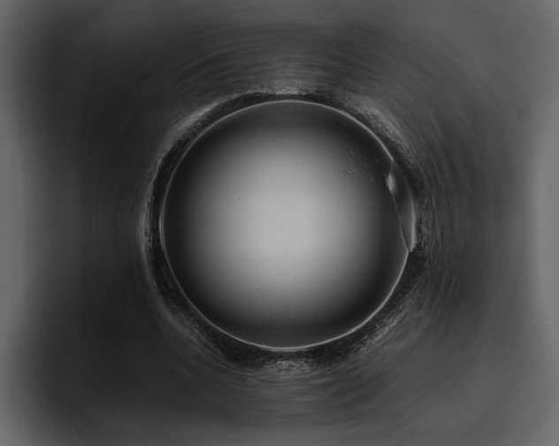 X0000095950536200801111352