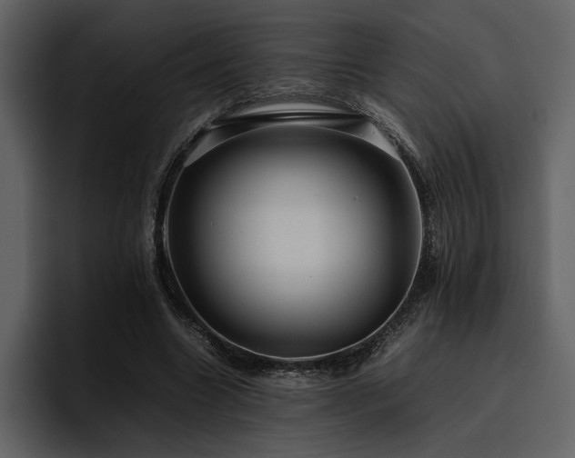 X0000095950538200801111352