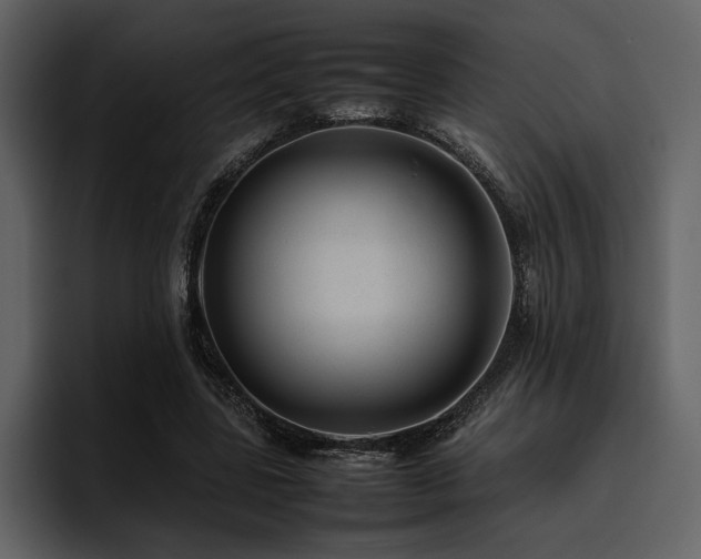 X0000095950539200801111352