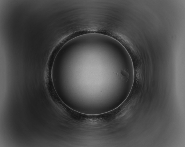 X0000095950540200801111352