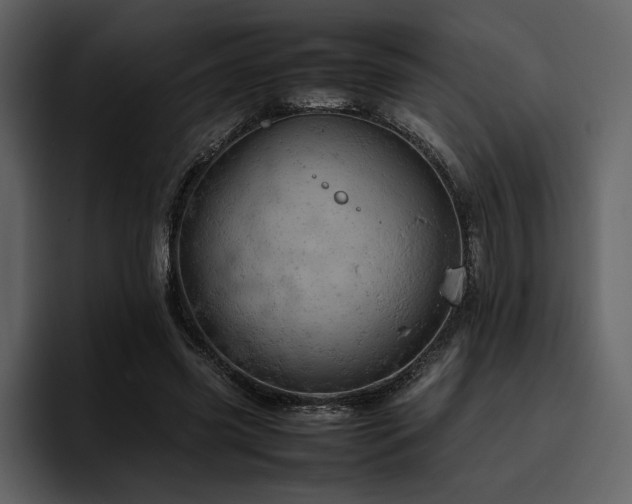 X0000095950541200801111352