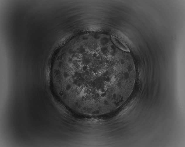 X0000095950542200801111352