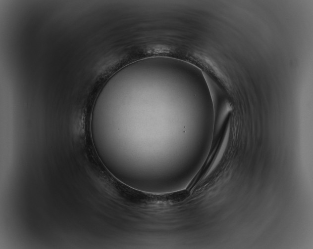 X0000095950543200801111352