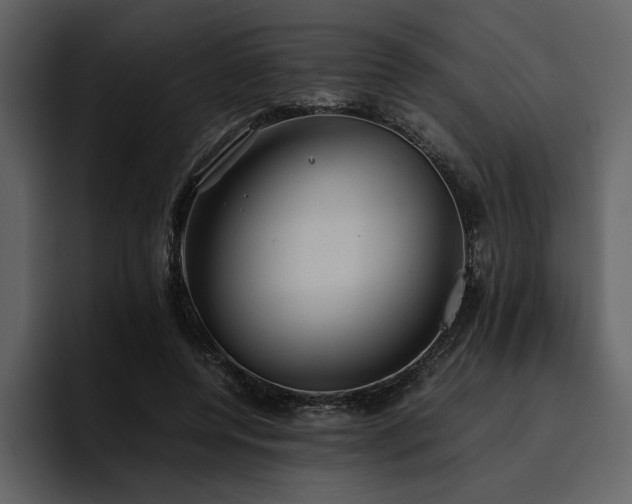 X0000095950544200801111352