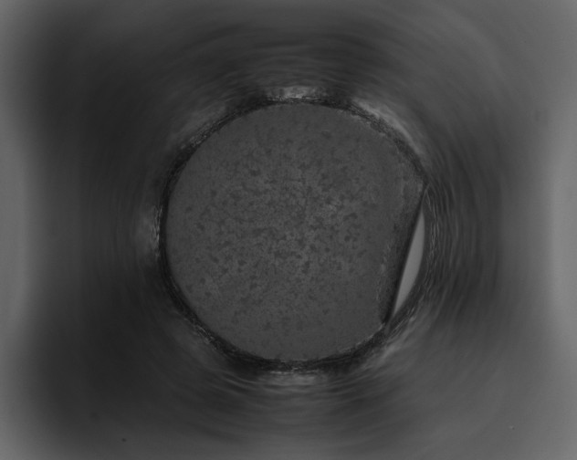 X0000095950545200801111352
