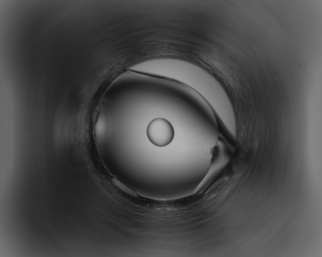 X0000095950547200801111352
