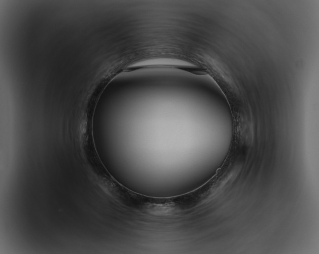 X0000095950548200801111352