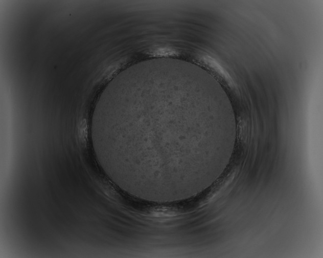 X0000095950549200801111352