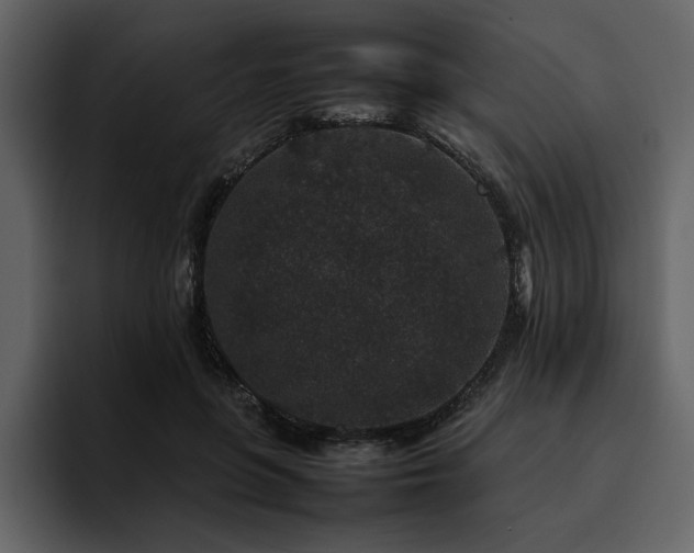 X0000095950551200801111352