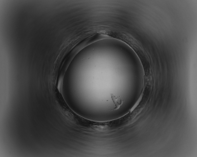 X0000095950552200801111352