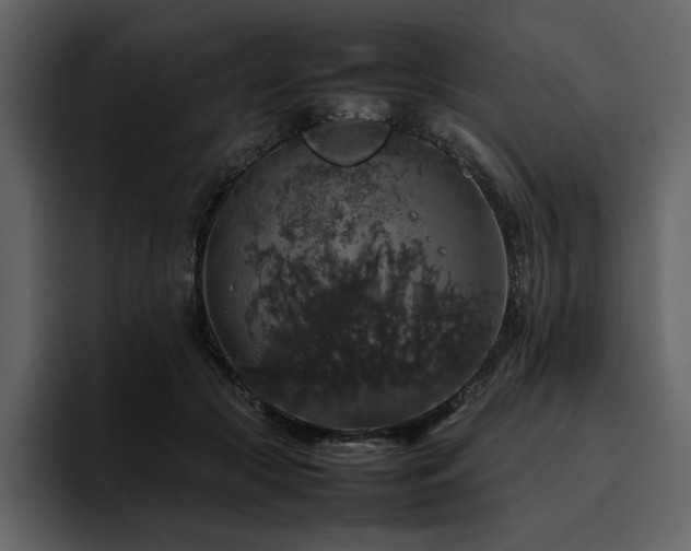 X0000095950553200801111352