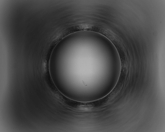 X0000095950556200801111352