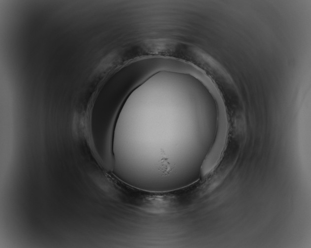 X0000095950558200801111352