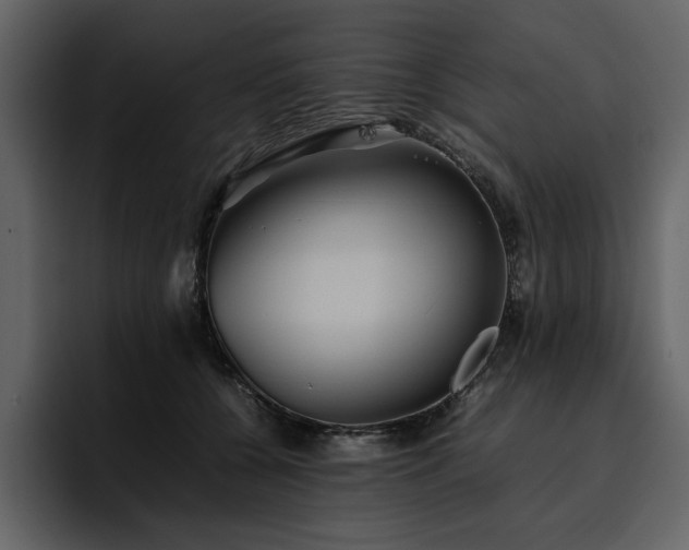 X0000095950560200801111352