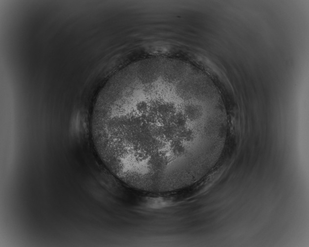 X0000095950561200801111352