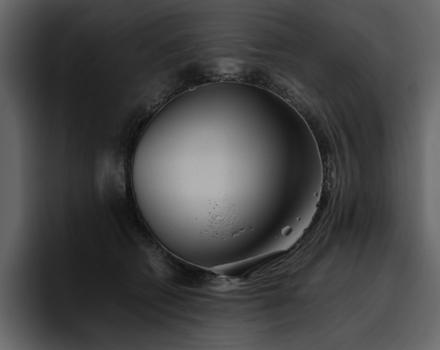X0000095950562200801111352