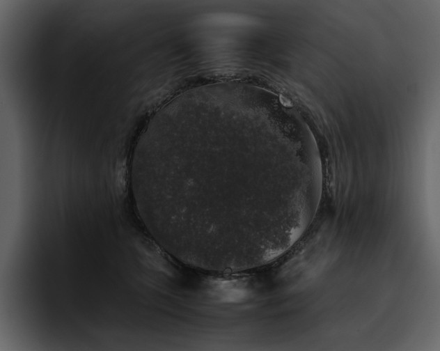 X0000095950563200801111352