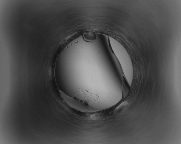 X0000095950564200801111352