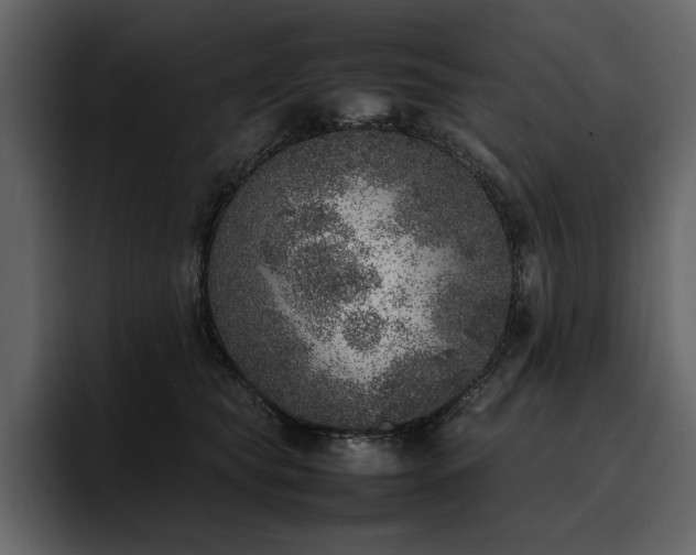X0000095950565200801111352