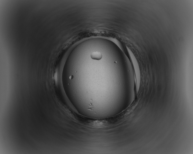X0000095950566200801111352