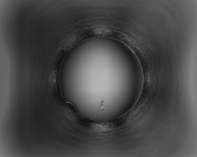 X0000095950567200801111352