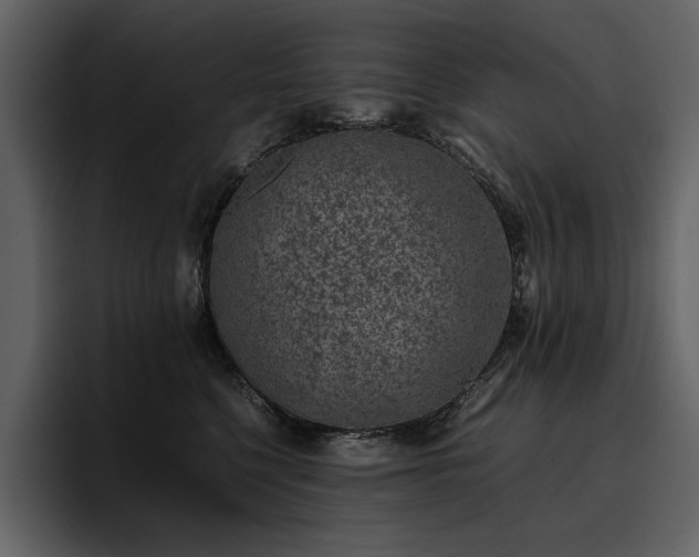X0000095950568200801111352