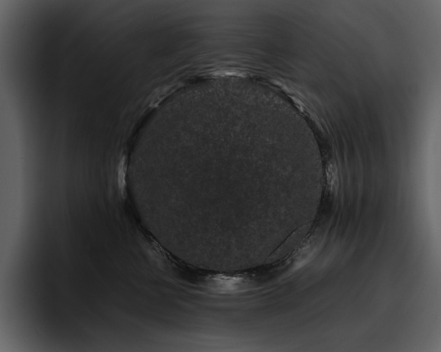 X0000095950570200801111352