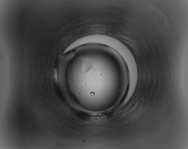 X0000095950571200801111352