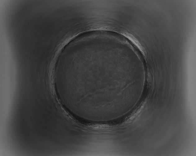 X0000095950577200801111352