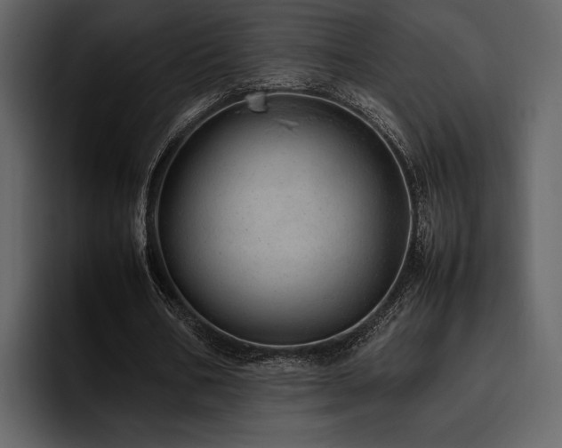 X0000095950578200801111351