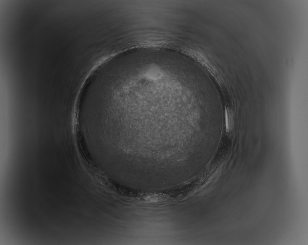 X0000095950579200801111351