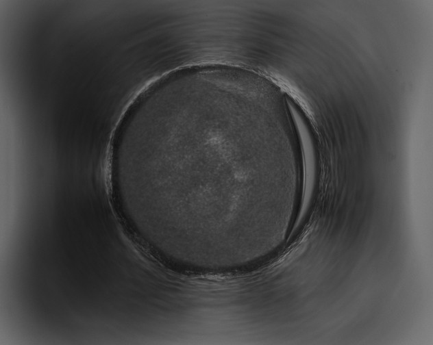 X0000095950580200801111351