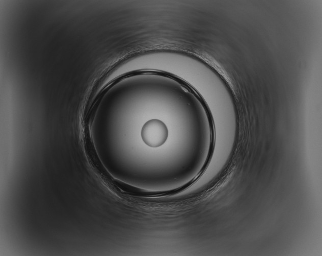 X0000095950581200801111351
