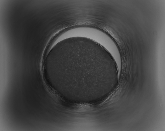 X0000095950583200801111351
