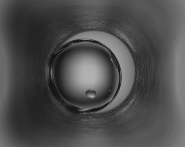 X0000095950589200801111351