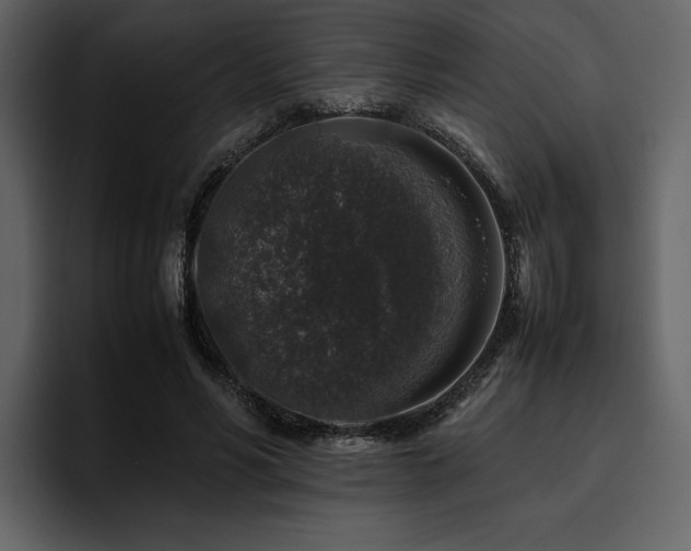 X0000095950590200801111351