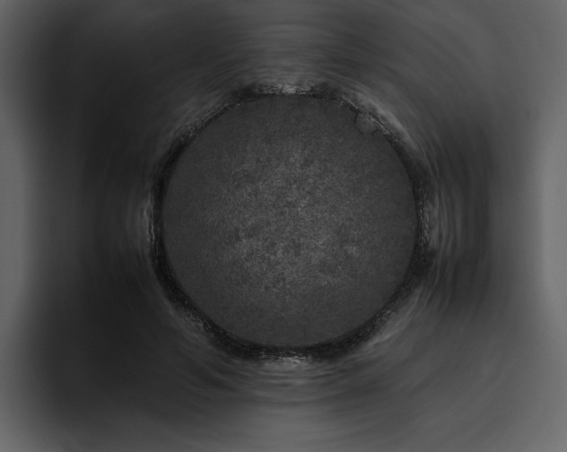 X0000095950594200801111351