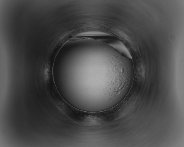 X0000095950596200801111351