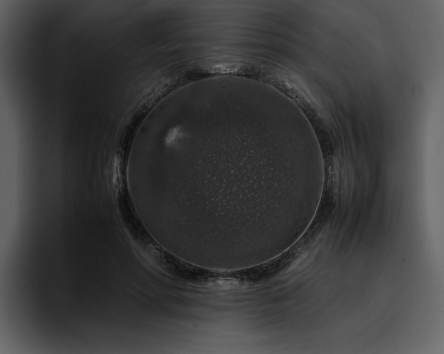 X0000095950598200801111351