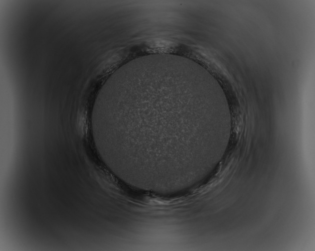 X0000095950599200801111351