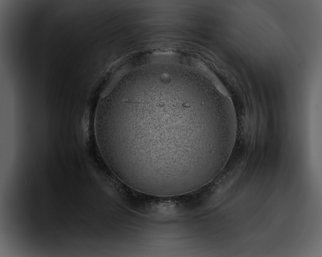 X0000095950600200801111351