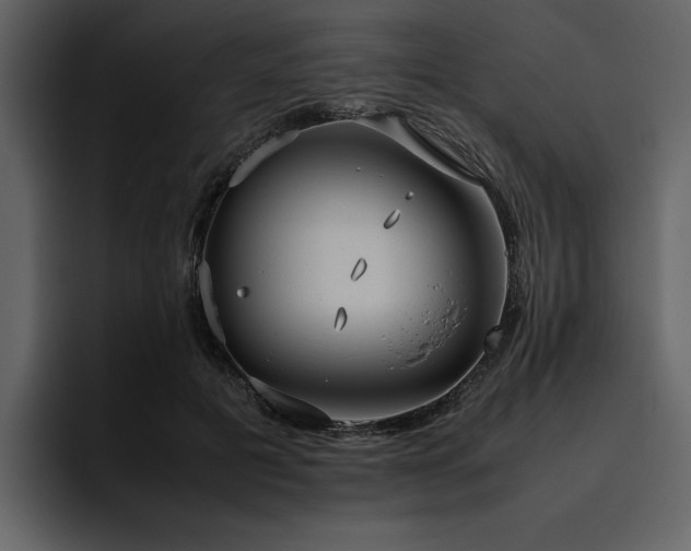 X0000095950601200801111351