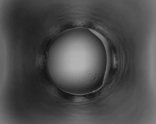 X0000095950605200801111351