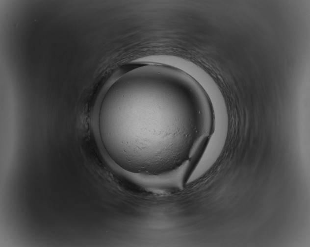 X0000095950609200801111351