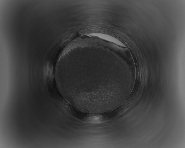 X0000095950610200801111351