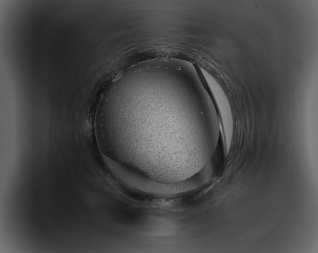 X0000095950613200801111351
