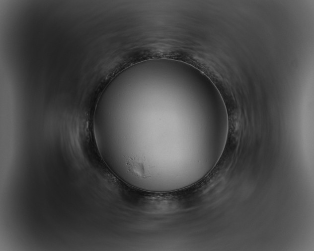 X0000095950615200801111351