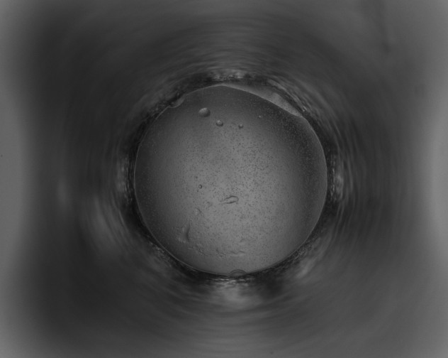 X0000095950616200801111351