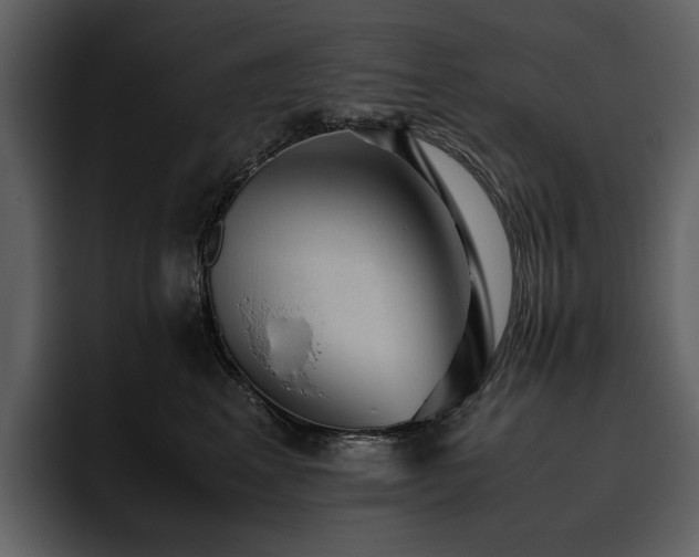 X0000095950617200801111351
