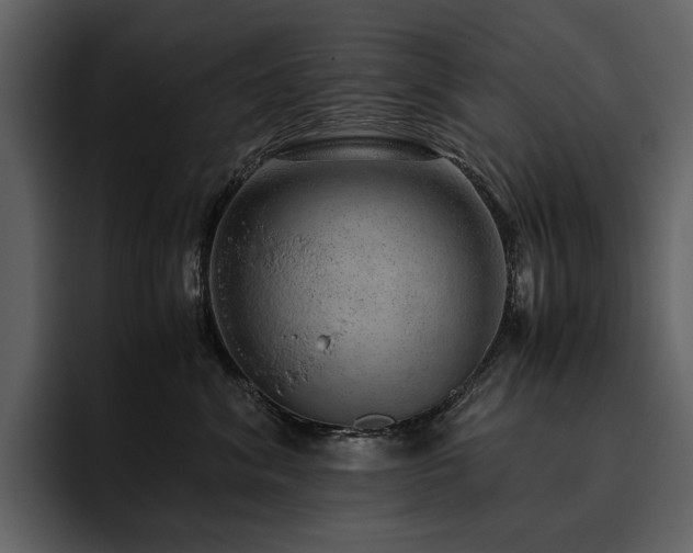 X0000095950620200801111351